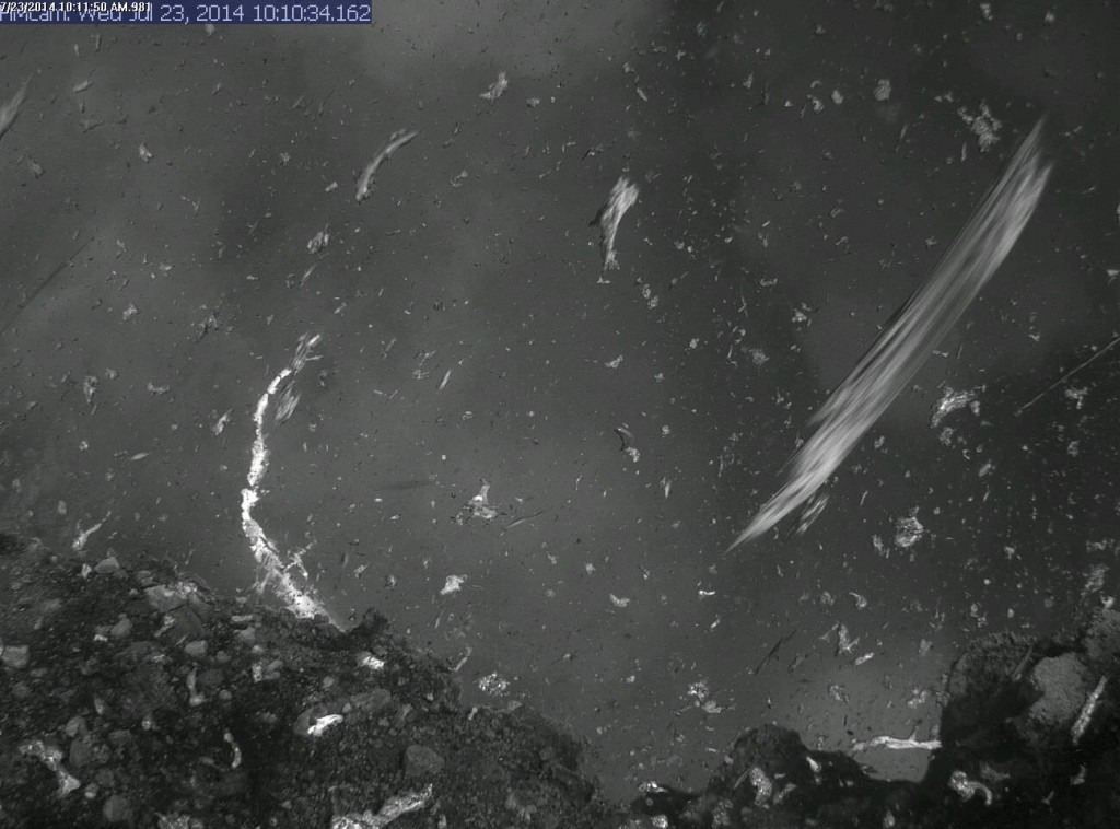 Figure 1: Image of the rock fall/”ash event” recorded at the summit webcam at around 10:10 am HST. Photo courtesy of Hawaii Volcano Observatory, USGS. 